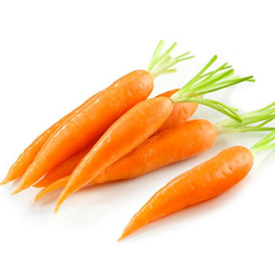 Carrot Carrot