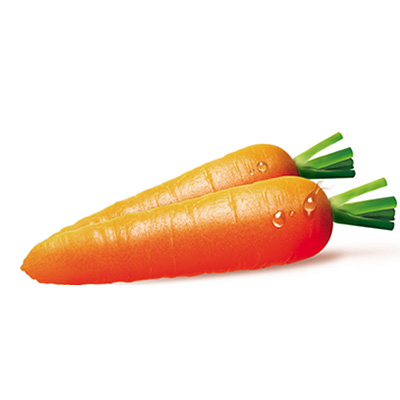 Carrot Carrot