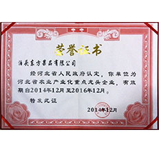 2014年省龍頭證書 2014年省龍頭證書