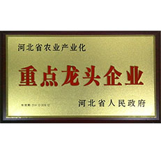 2014年省龍頭牌 2014年省龍頭牌