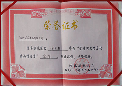 2012年黃金梨金獎(jiǎng)